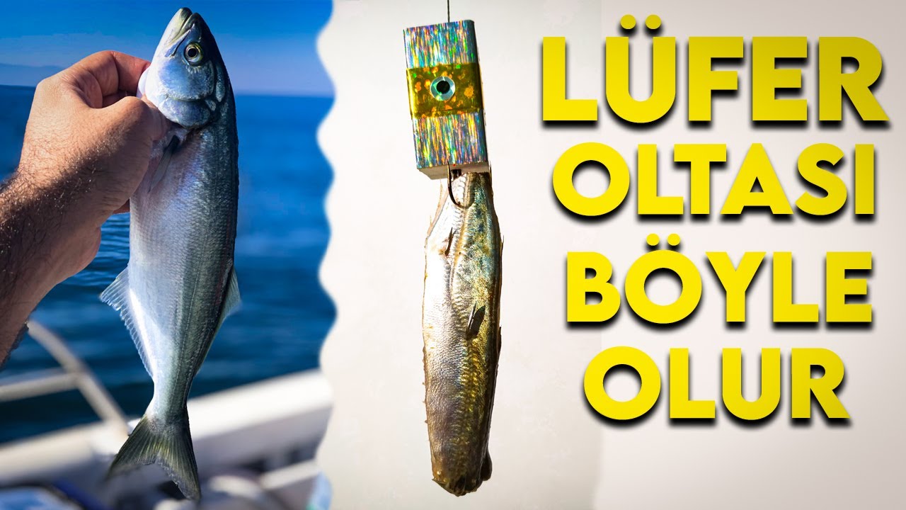 Lüfer Nasıl Tutulur - En Kolay Lüfer Takımı Yapımı - Kurşun Arkası Lüfer Avı