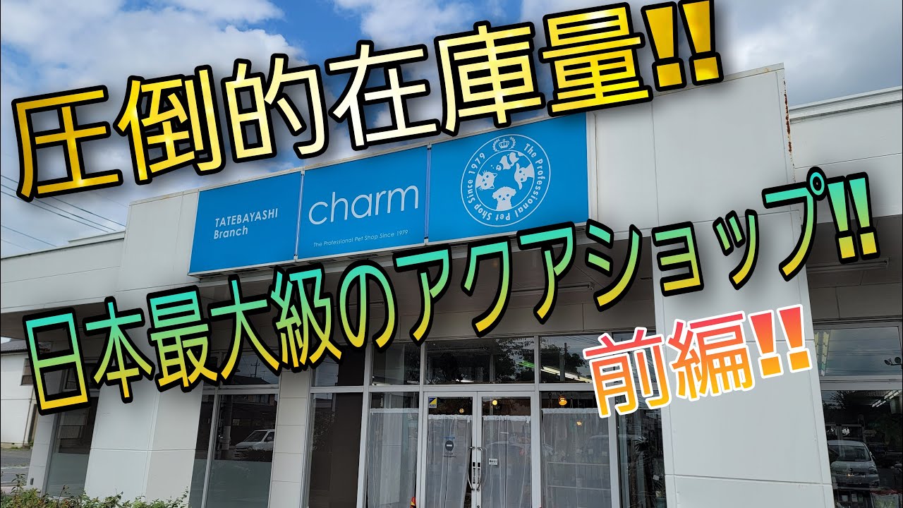 圧倒的在庫量‼日本最大級のアクアショップ‼　【charm】aquarium　アクアリウム