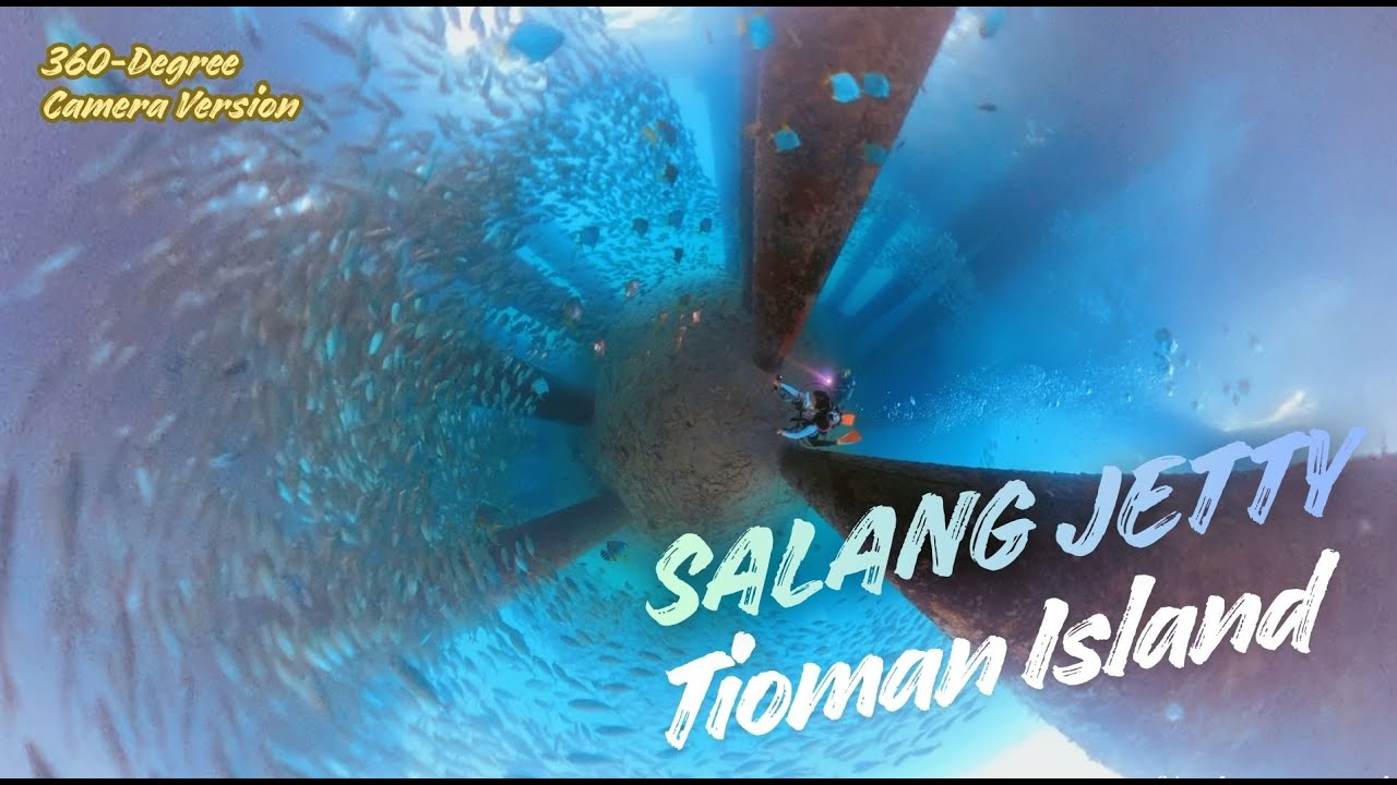 1 hour ++ dive with thousands of small fishes | 就喜欢静静泡在鱼群里被包围的安全感 | 360° Camera Version