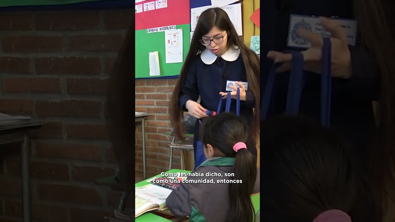 La experiencia de la Práctica Profesional [Pedagogía en Educación Básica]