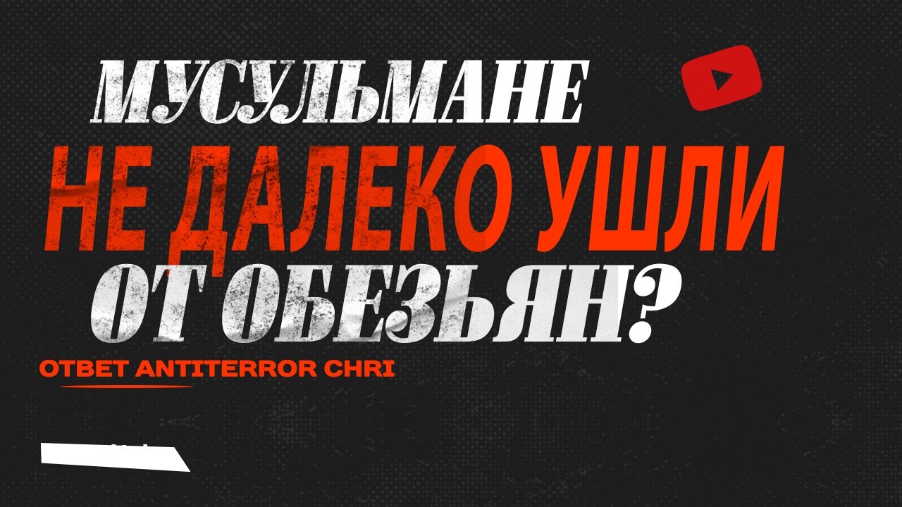 Мусульмане не далеко ушли от эволюции обезьян? (ответ лживой приМАТКЕ)