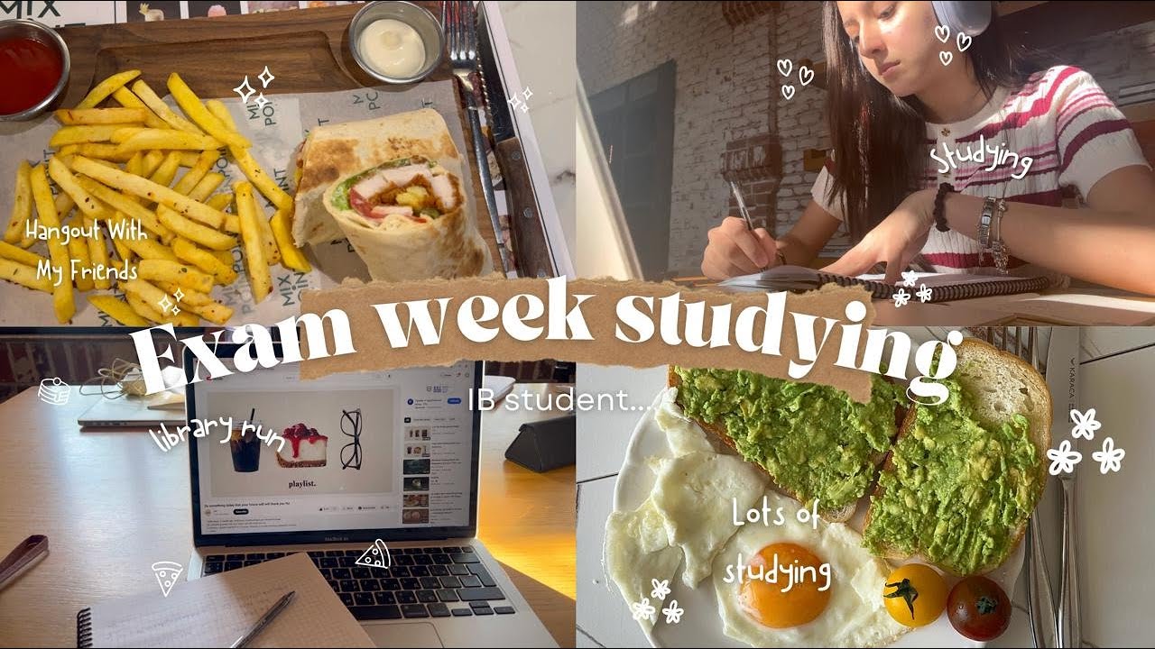 Study Vlog | Fall mid term vlog, D-3 study with me
