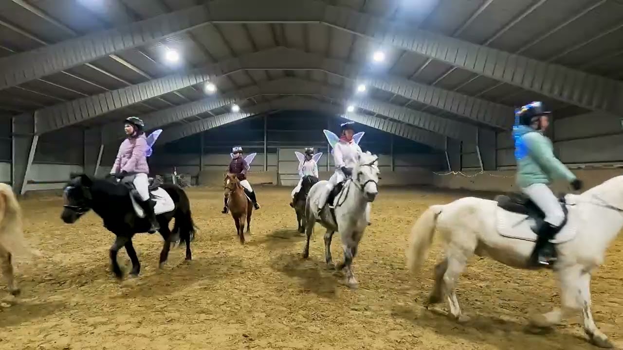 NOEPS Weihnachts-Video-Wettbewerb 2024: Platz 3 UPSV Waidhofen/ Ybbs (Kategorie Quadrille)