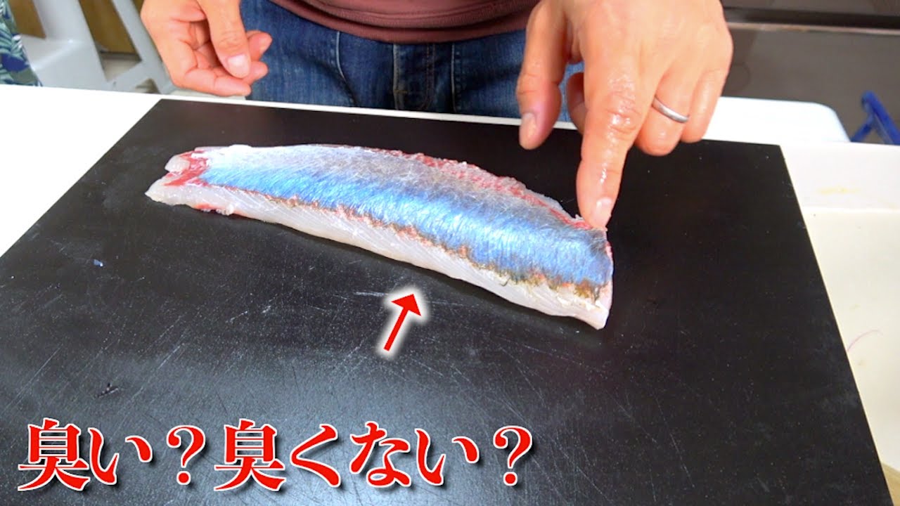 ヤフー記事にもなった臭いとされるボラの刺身が美味しいらしい！