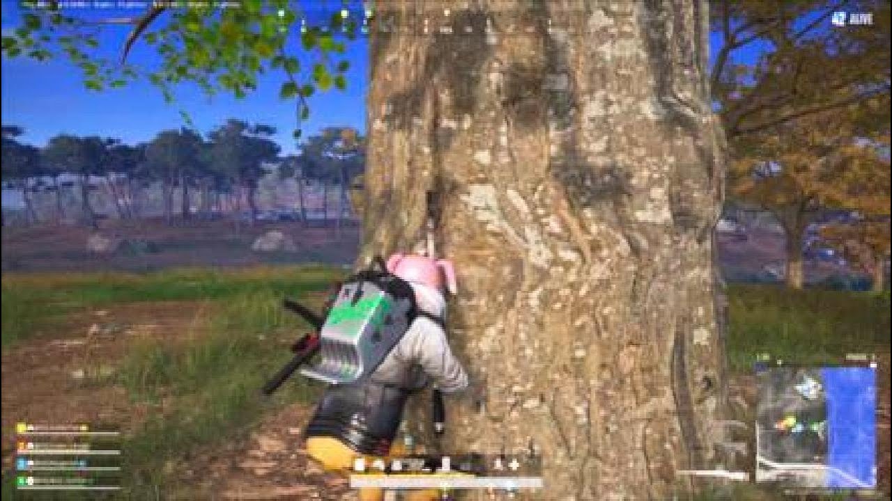6 kills 2 asst Chxn Taego