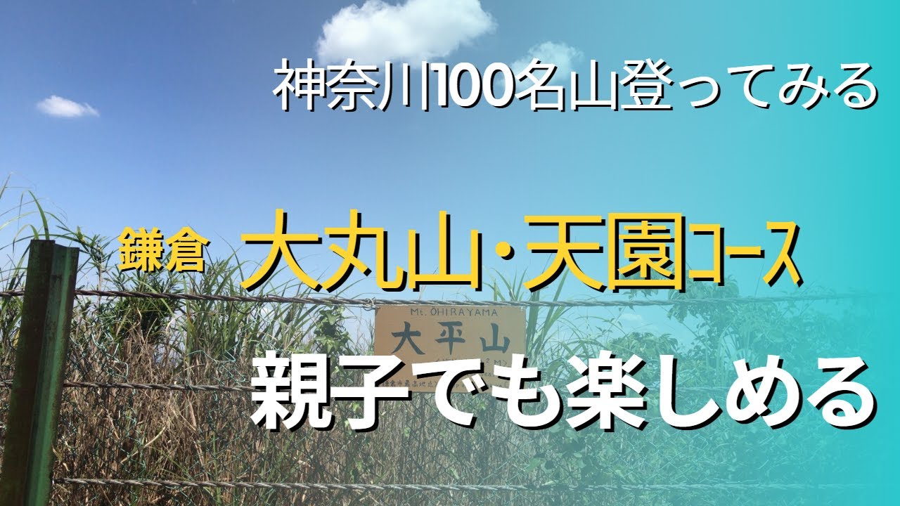 かながわ百名山2座・3座目【大丸山・天園コース】初心者でもアスレチックのように楽しめます【初心者OK】【親子OK】