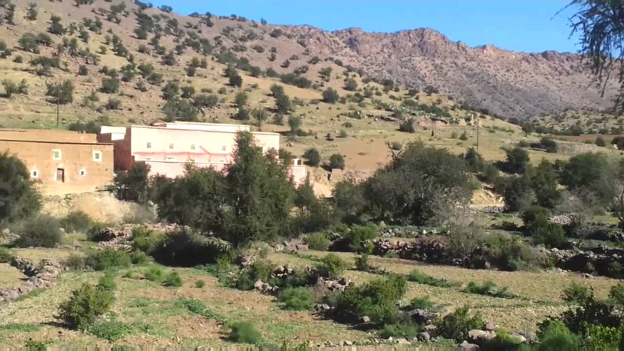 فيديو أكلز تنكرفة محمد الروغان