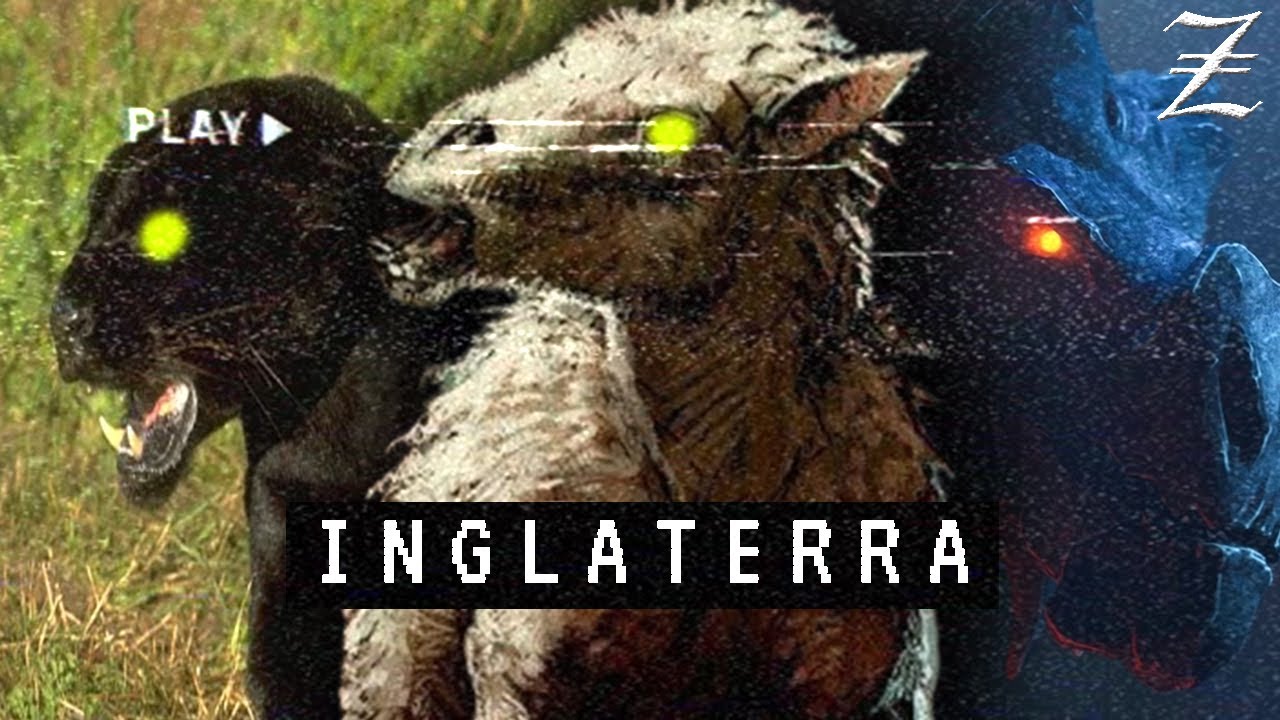 Explorando os Criptídeos da INGLATERRA