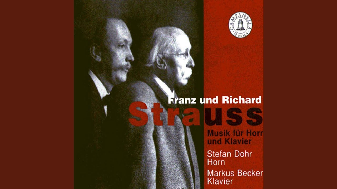 Fantasy on Schubert's Sehnsuchtswalzer, Op. 2