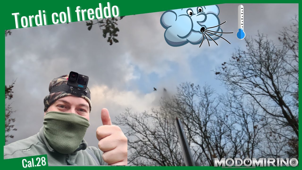I Tordi della merla 🥶 ☃️ - A caccia di tordi in calibro 28 sulle montagne calabresi