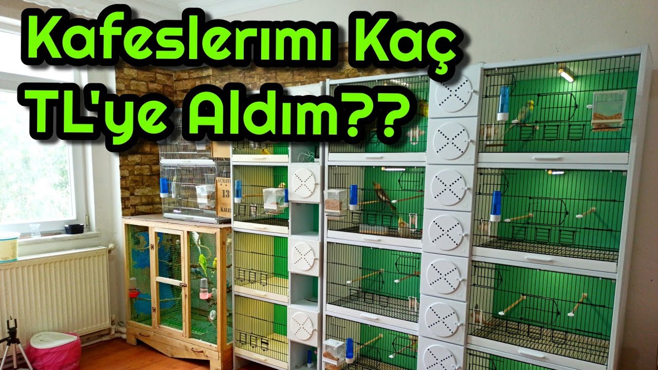 Bütün Kafeslerimin Fiyatlarını Açıkladım !! (Pvc-Salma)