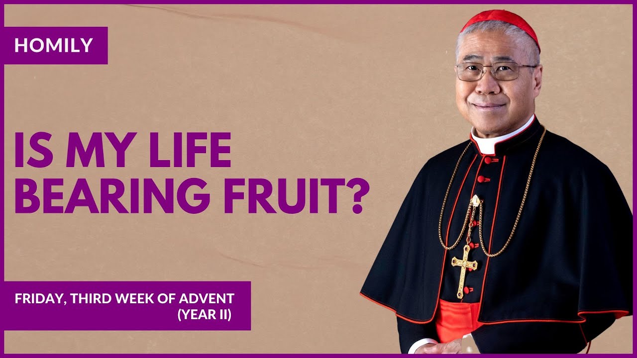 From Barrenness to Blessing: Trusting God&rsquo;s Plan - William Cardinal Goh (Homily - 19 Dec 2025)
