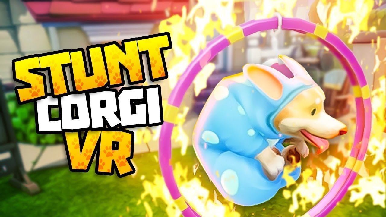 BRAVE PUPPY JUMPS THROUGH RING OF FIRE - Stunt Corgi VR Gameplay - VR HTC Vive Gameplay