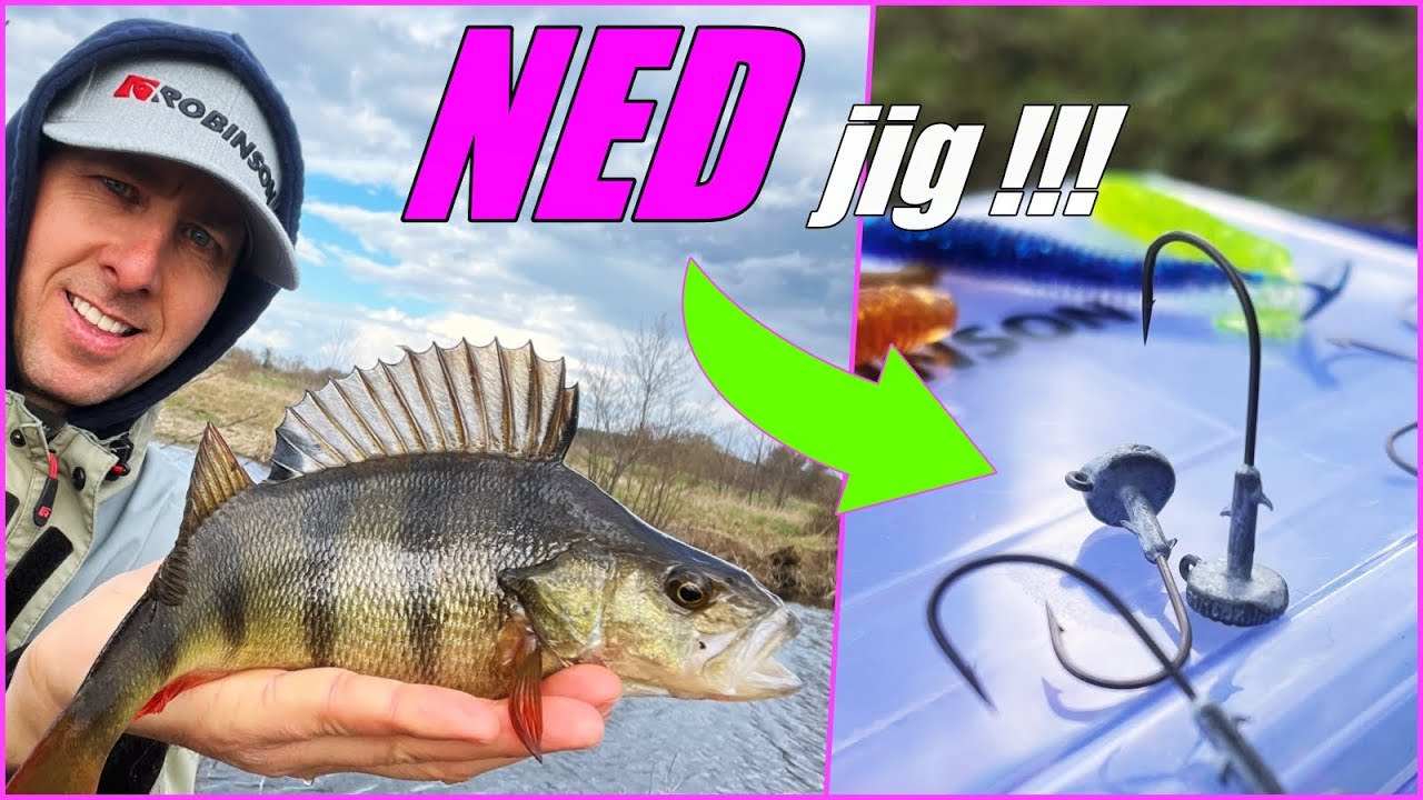 NED jig na OKONIACH | JAK ŁOWIĆ OKONIE w MARCU ?! wędkarstwo spinning marzec