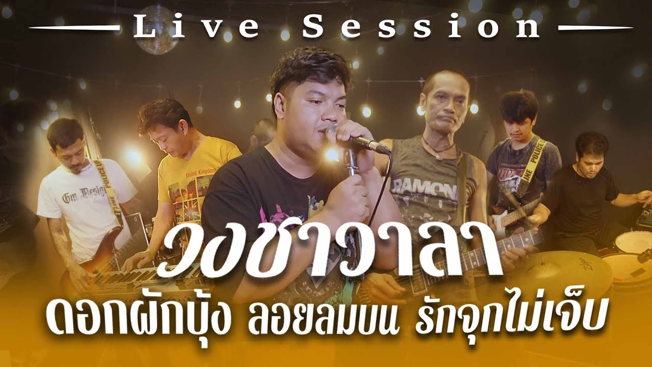 ดอกผักบุ้ง ลอยลมบน รักจุกไม่เจ็บ - วงชาวาลา 【Live Session#3】