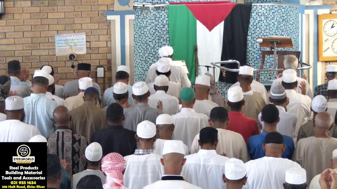 Live Stream