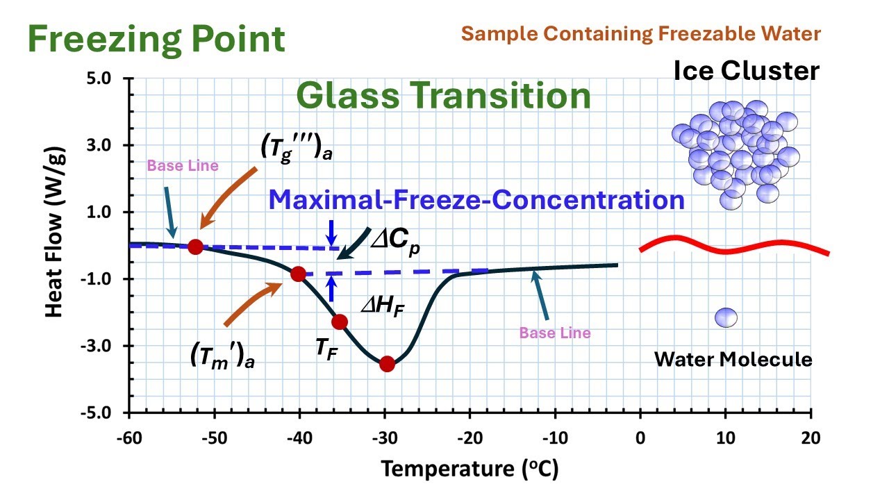 How to Measure Glass Transition and Freezing Point by DSC?