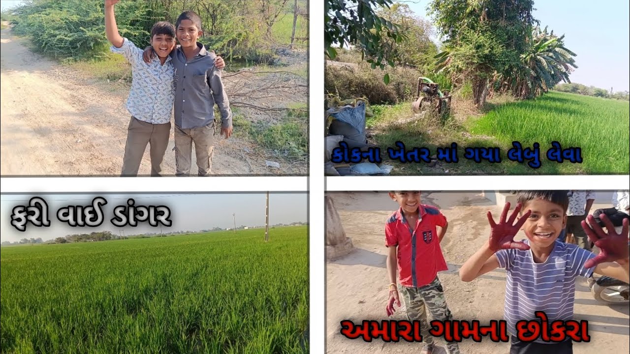 ધુળેટી ની મોજ # કોકના ખેતર માં ગયા લીંબુ લેવા # ફૂલ મોજ 