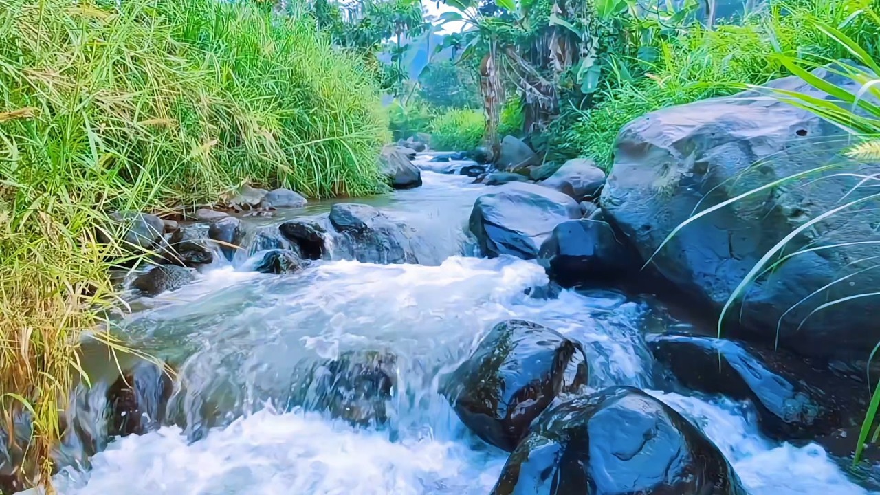 Mountain River Sounds for Sleep Balance