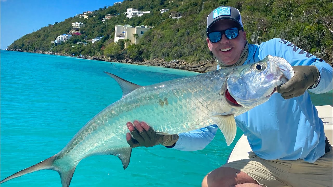 Tarpon on Fly - St. Thomas, USVI