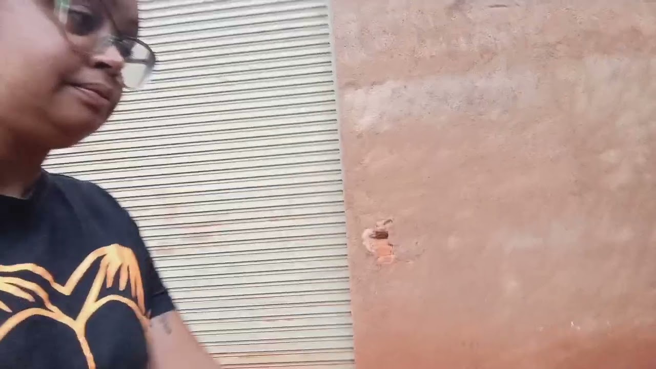 Procurando abóboras/ caiu um galho cheio de 🥑💔