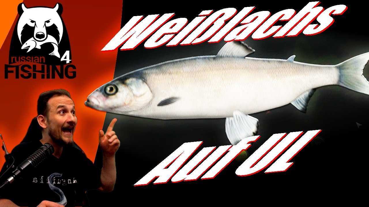 Russian Fishing 4 - Weißlachs UL - Spinning Achtuba