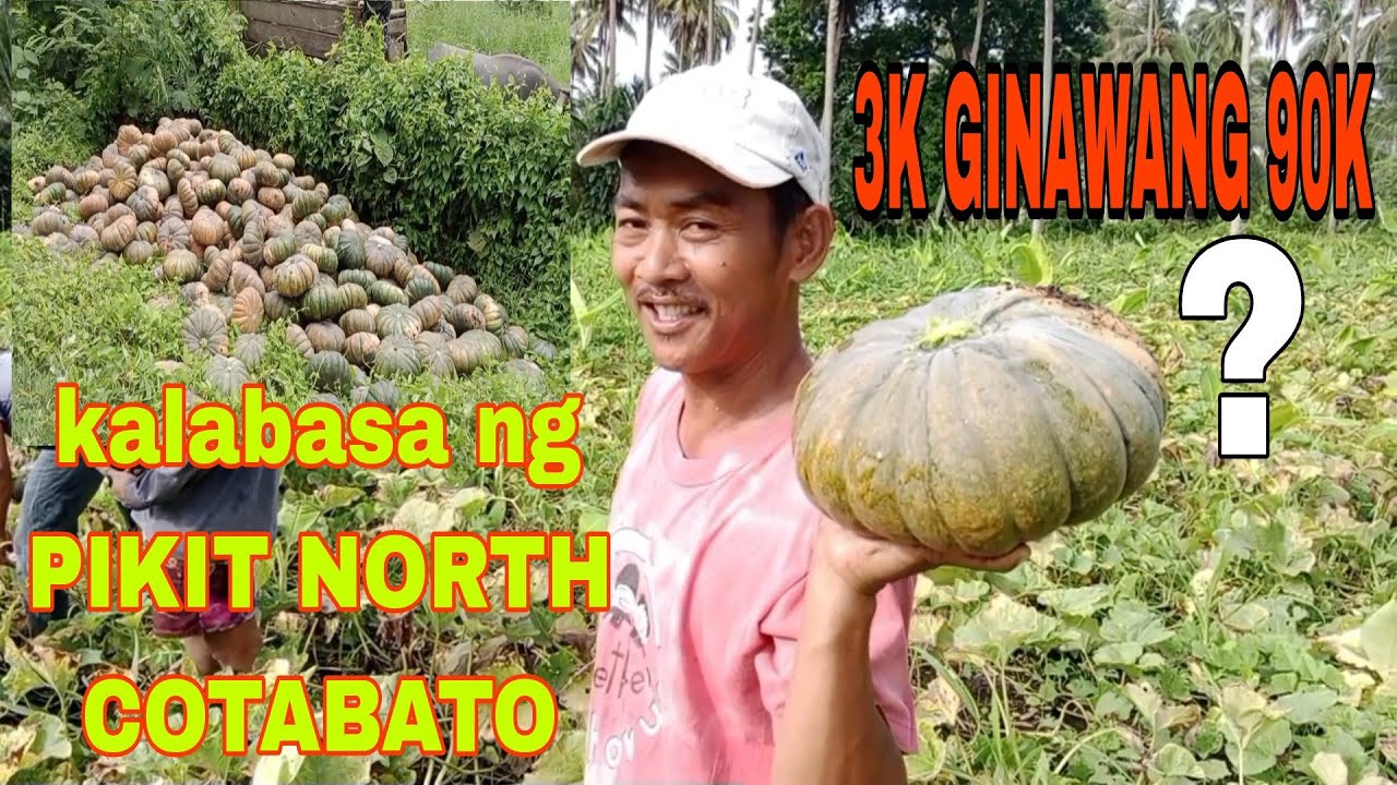 MAY PERA SA KALABASA,3K GINAWANG 90K.