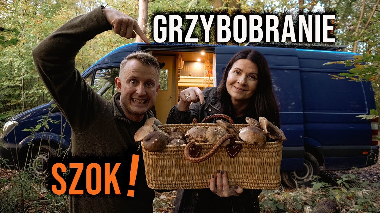 SZOK!!! OGROMNY WYSYP GRZYBÓW W LASACH !!! Grzybobranie 🍄 #113