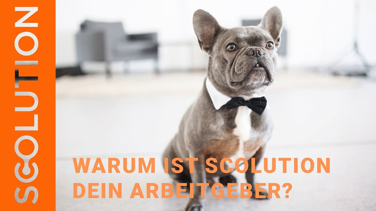 Was macht Scolution f&uuml;r dich aus? | Scolution als Arbeitgeber