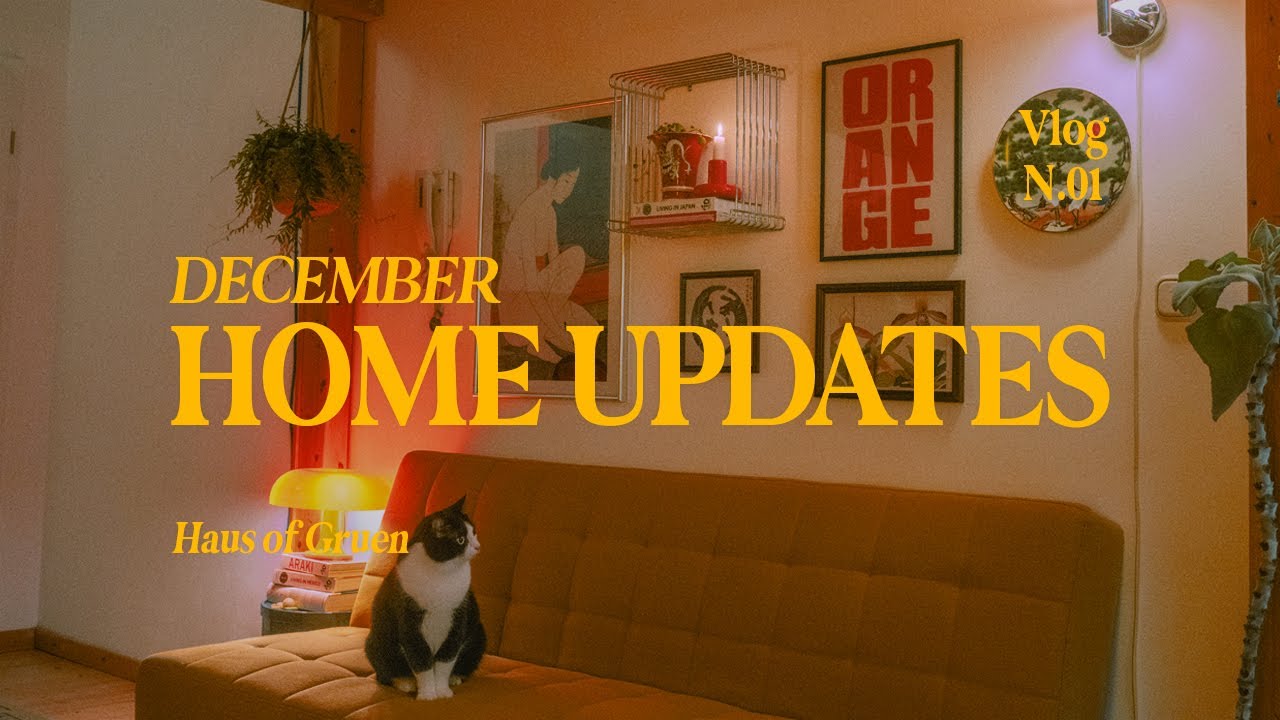 December Home Updates: New Things, Plant & Aquarium Care, Rainy Adventures & Cozy Moments