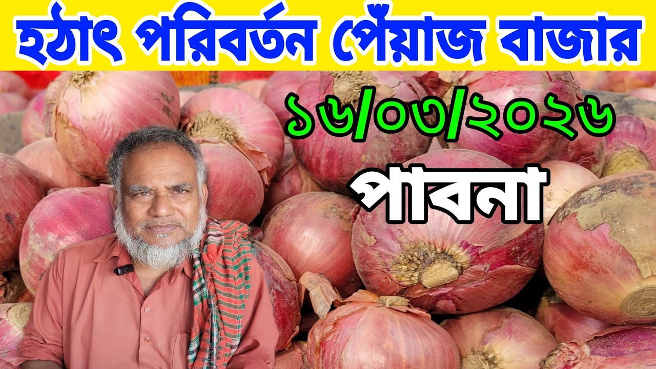 16/03/2026 হঠাৎ সন্ধায় পরিবর্তন পেঁয়াজ বাজার।  নতুন পেঁয়াজের টাটকা খবর পাবনা পেঁয়াজ হাট। onion price