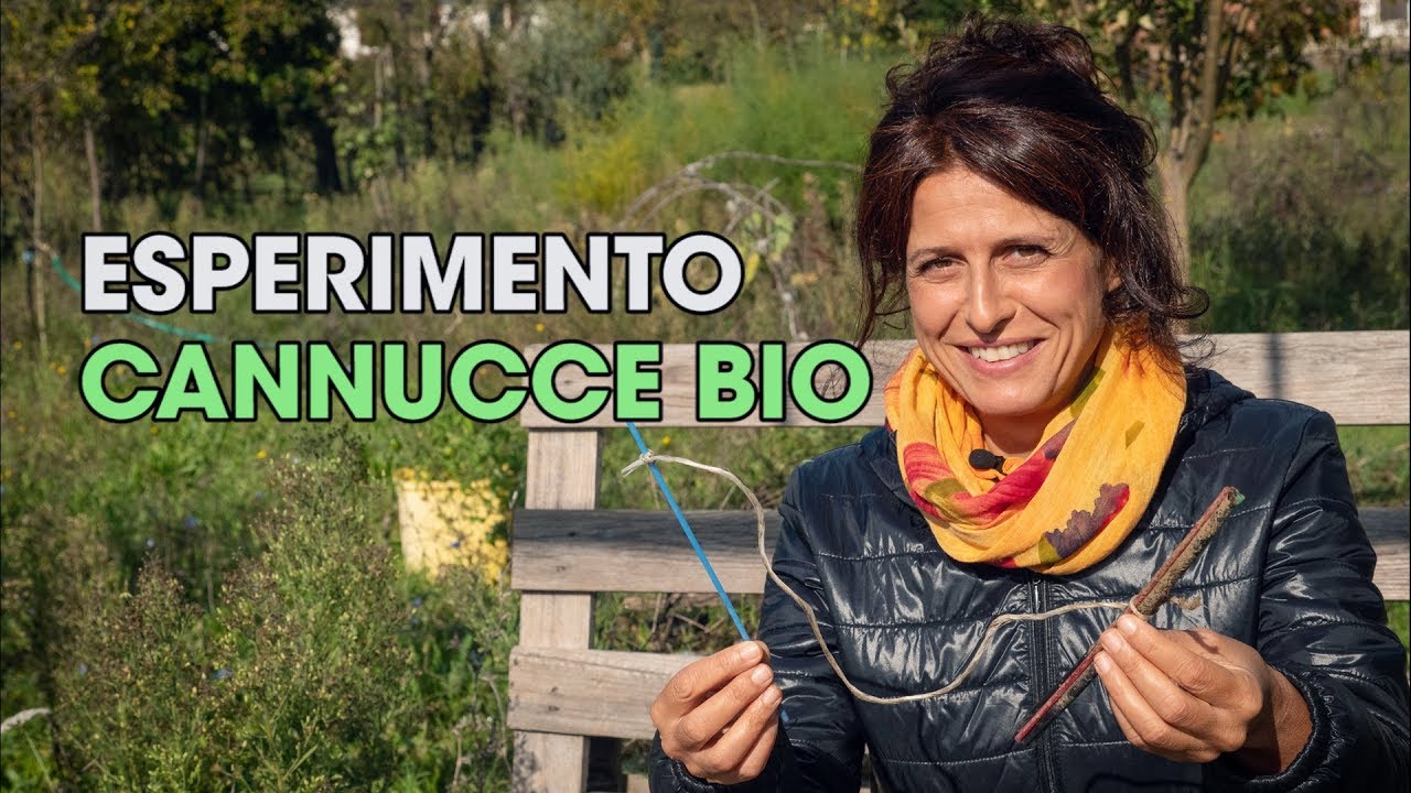 ESPERIMENTO CANNUCCE BIODEGRADABILI, CONFRONTO CON LA PLASTICA