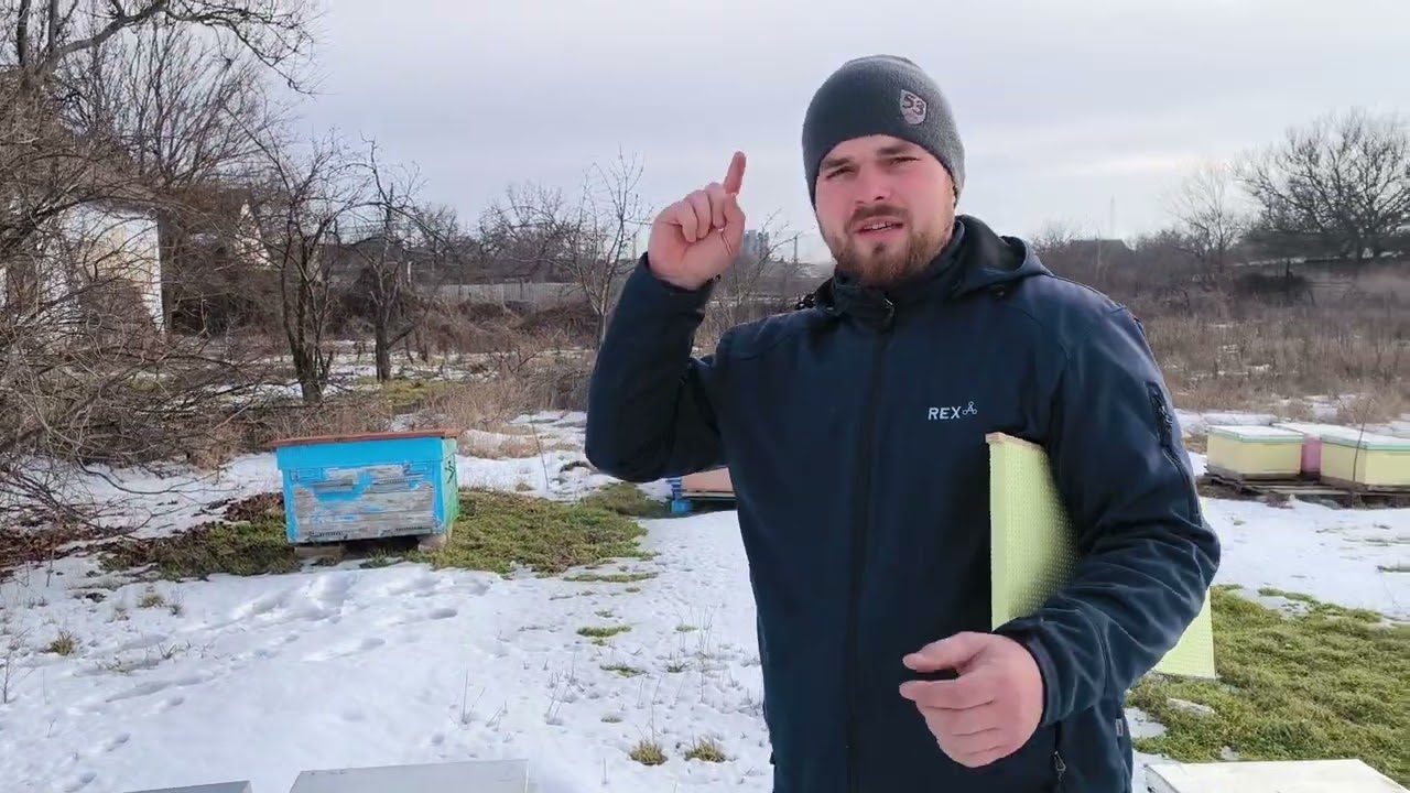 Смотрим на состояние семей к концу зимовки