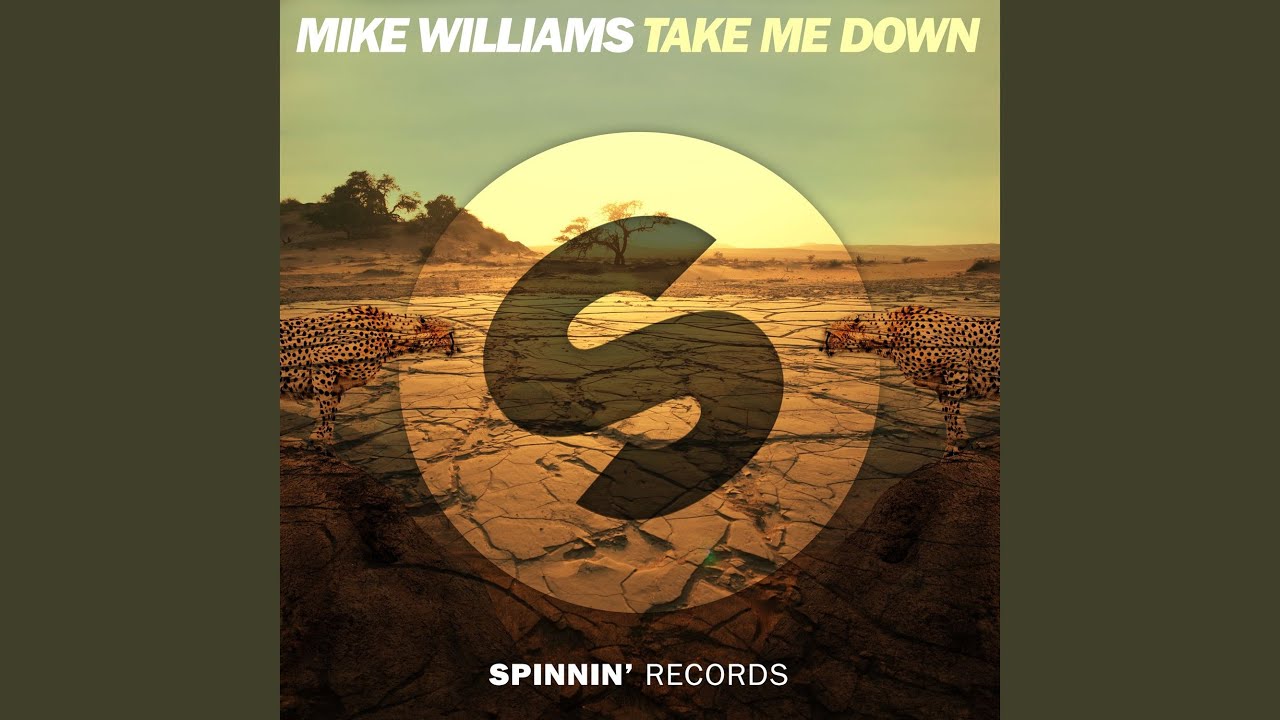 Take Me Down