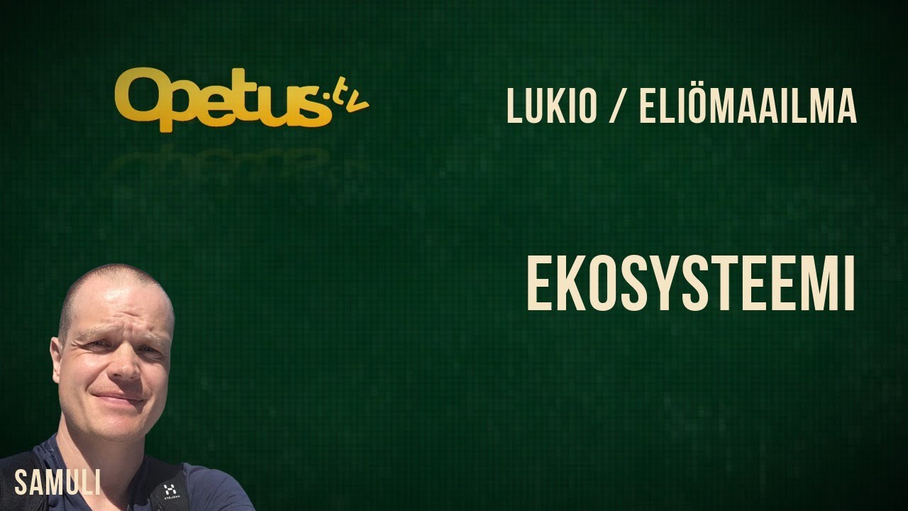 Ekosysteemi