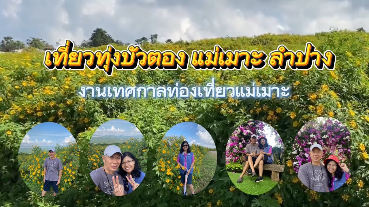 เที่ยวทุ่งบัวตอง แม่เมาะ ลำปาง | Baan Piriya ep.73