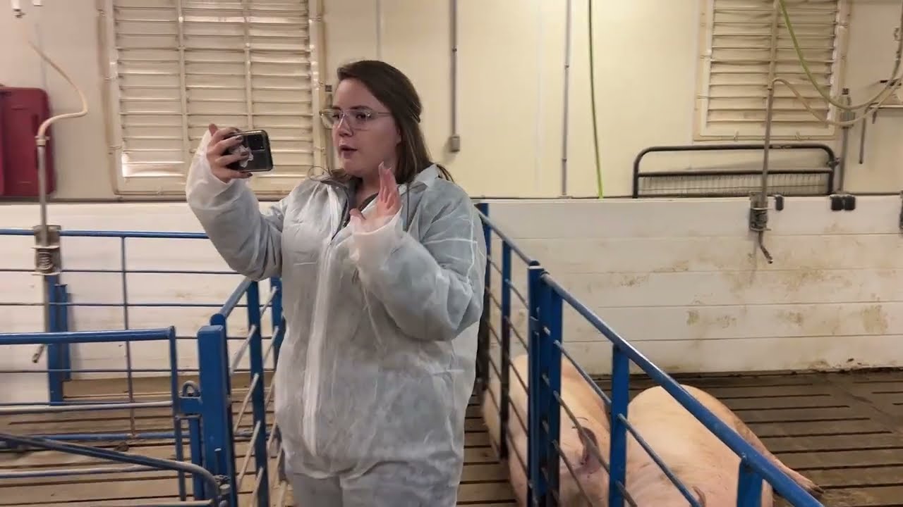 South Dakota State Demystifying Pork Production