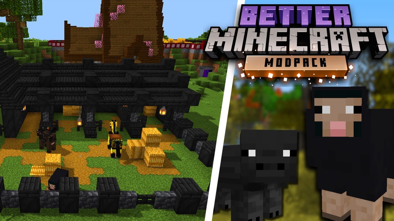 I'm Catching Every Black Mob in Better Minecraft (#3)