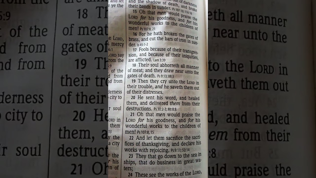 Psalm 107:20 KJV