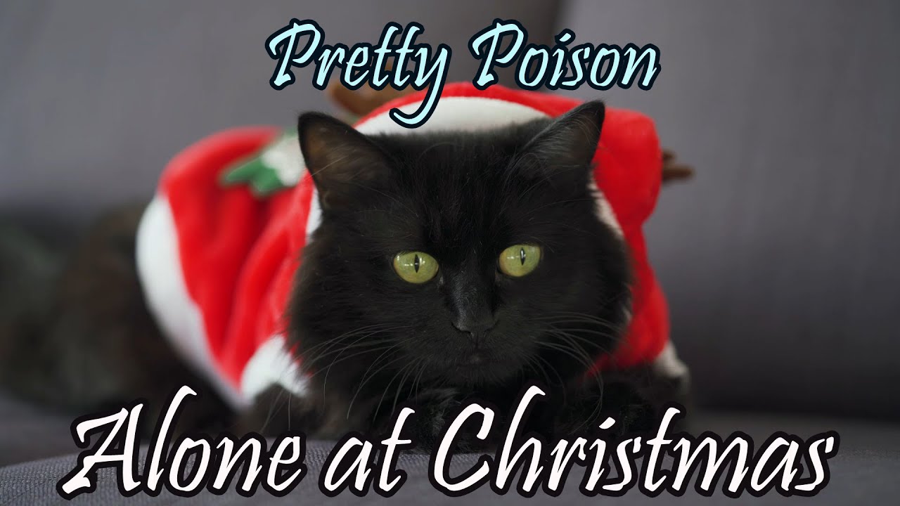Pretty Poison f/Jade Starling "Alone at Christmas"