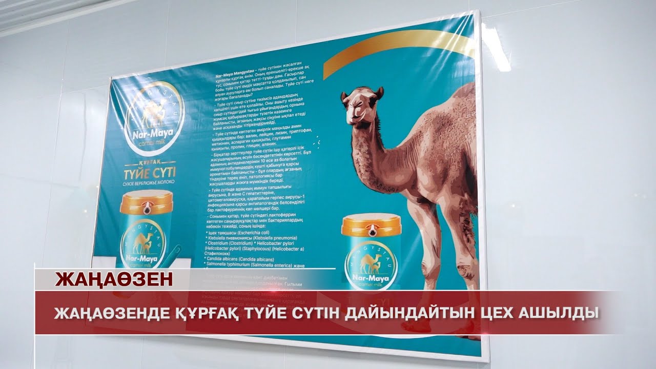 Жаңаөзен жаңалықтары 12.01.2026 ж.