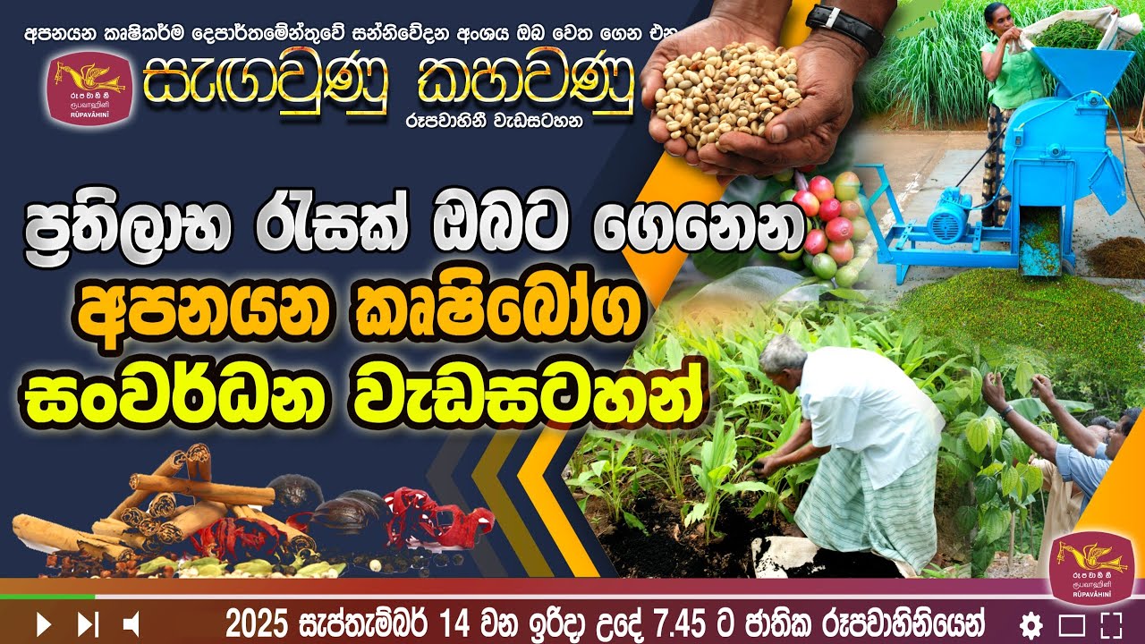 ප්‍රතිලාභ රැසක් ඔබට ගෙනෙන අපනයන කෘෂි බෝග සංවර්ධන වැඩසටහන්