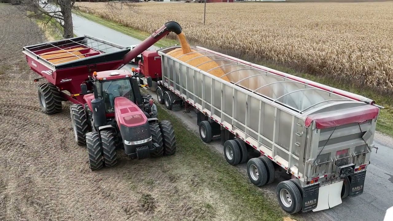 KELA Farms Corn Harvest 25'