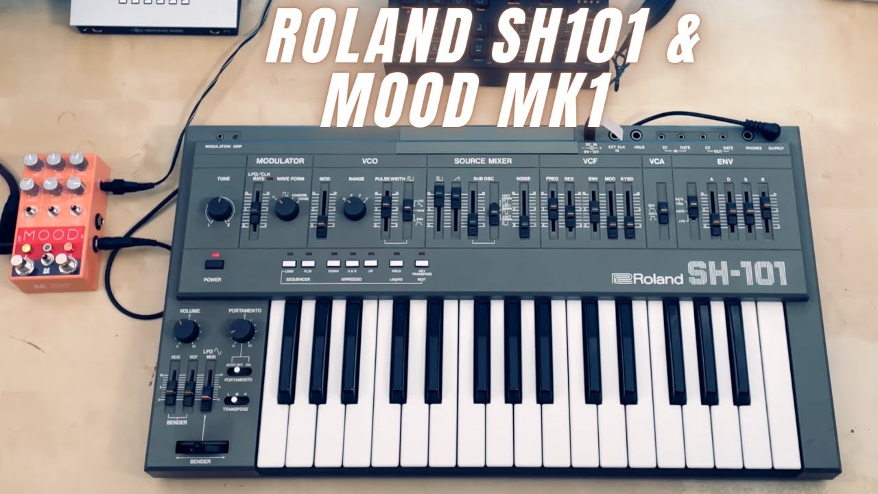 Roland SH 101 meets Chase Bliss MOOD MK1