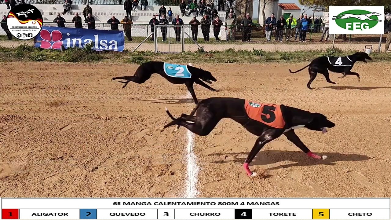 2º CARRERA DE LIGA  , LA GINETA   800M 4 MANGAS , 800M OPEN