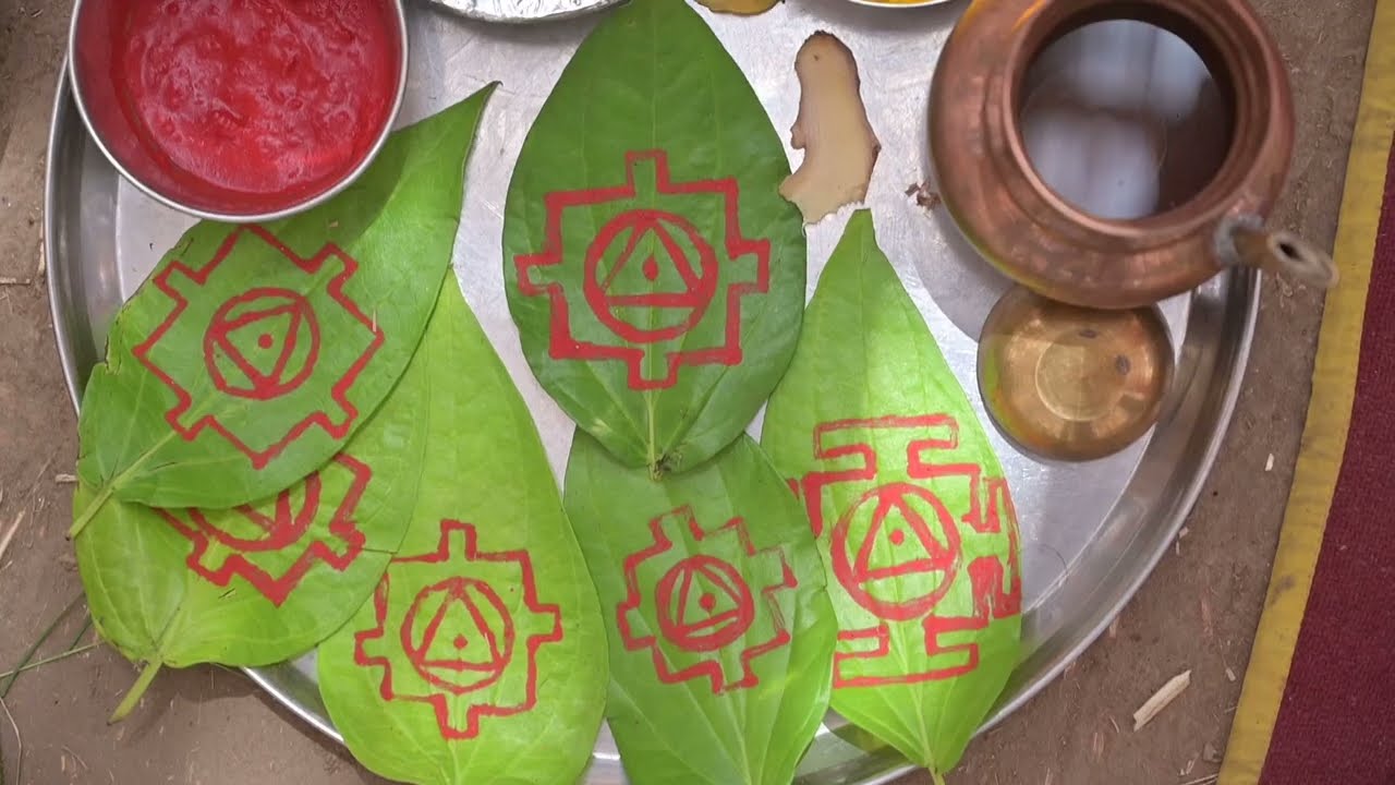 Shree Meldi Mataji Mandir Murti Pratistha Mahotsav | Highlight Day 3