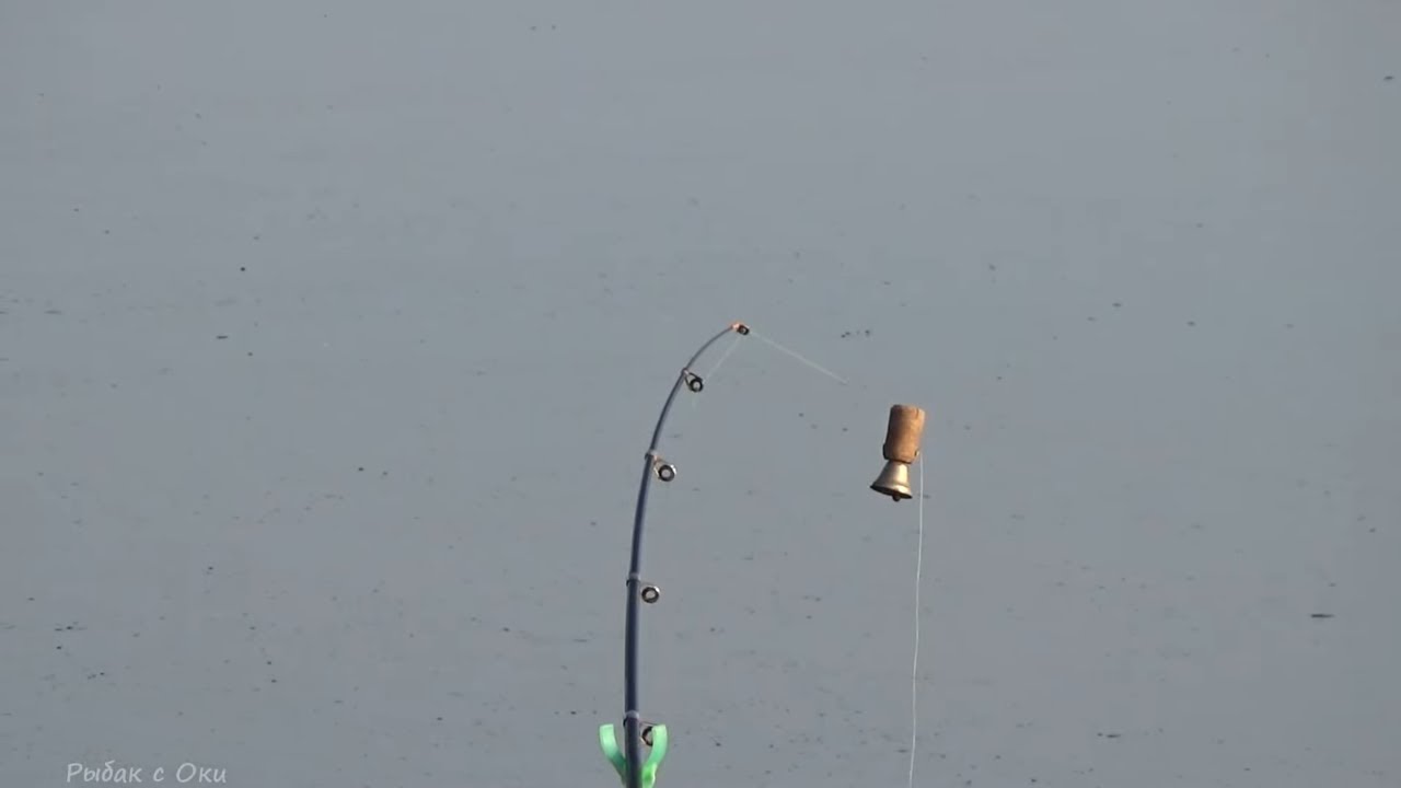 ЭТА ДОНКА ВСЕГДА ЛОВИТ ЛЕЩА! Поклевки крупным планом! Рыбалка на ФЛЭТ КОРМУШКИ на ОКЕ !