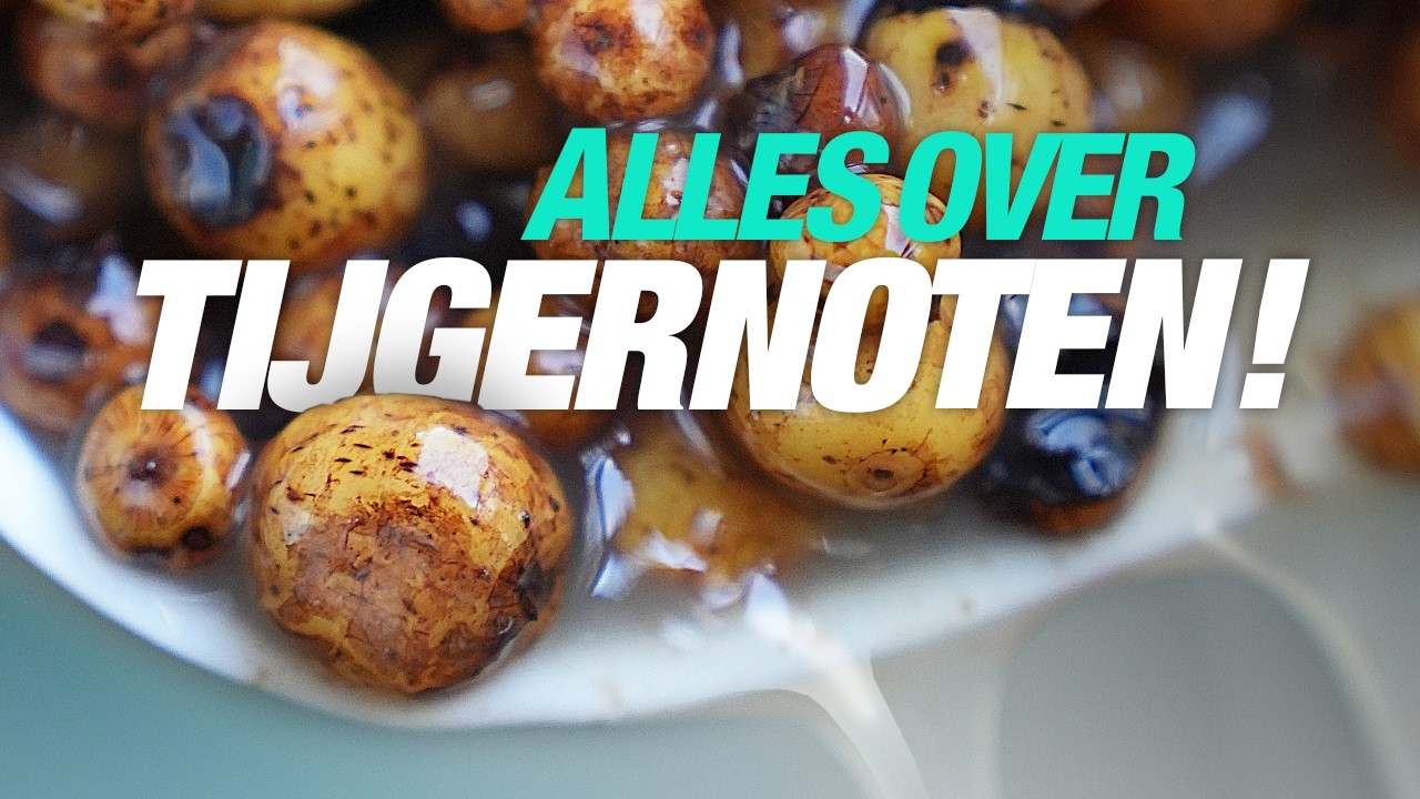 Tijgernoten: van koken tot het knopen van een goede rig! #karpervissen