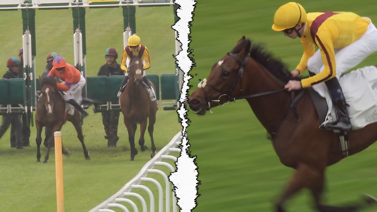 A two-horse race with plenty of drama! | Racing TV