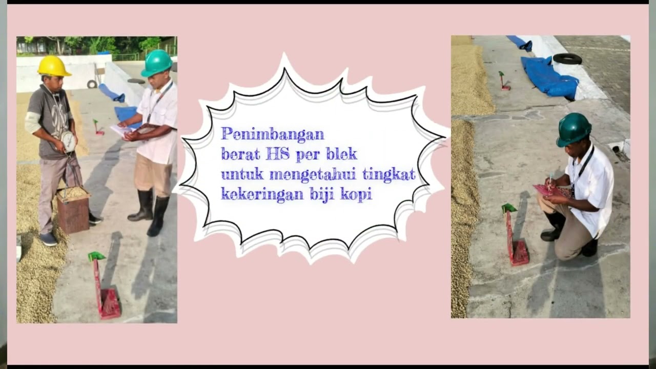 Pre Learning PLDP I - Modul Fungsional
